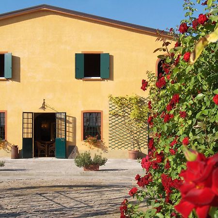 Agriturismo Le Colombaie Буссето Экстерьер фото